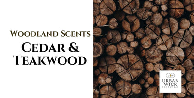 Woodland Scents To Help You Ease Into Evening Relaxation