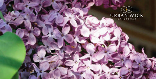 2022 Is The Year Of The Lilac