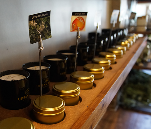 <h2>Crafting A Personalized Scent At Our Fragrance Wall</h2>